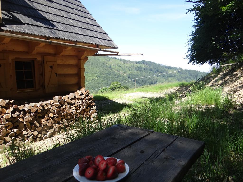 Ferienhaus Dom Kawa Na Kotarzu *
